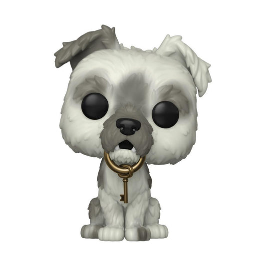 PRESALE | Funko POP! Disney: Pirates of the Caribbean Dog Vinyl Figure (Walt Disney World 50th Anniversary)